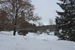 Image-preview_300x200