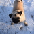 Image-square_50