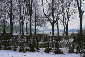 Image-preview_300x200
