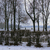 Image-square_50