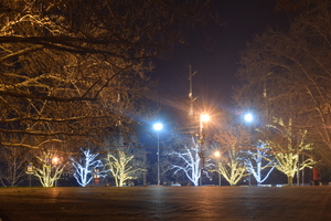 Image-preview_300x200