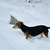 Image-square_50