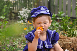 Image-preview_300x200