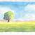 Image-square_50