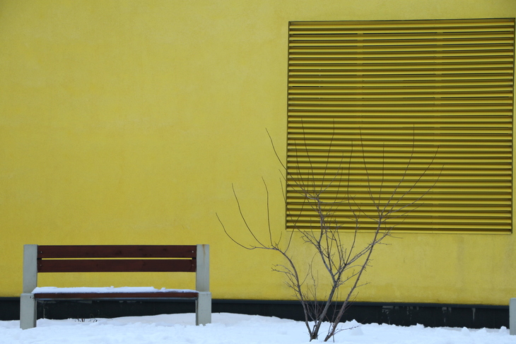 Image-normal