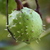Image-square_50