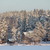 Image-square_50