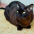 Image-square_50