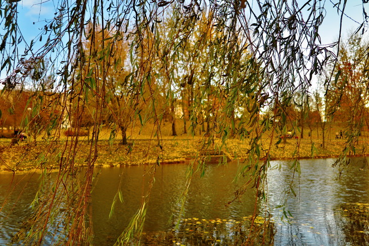 Image-normal