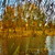 Image-square_50