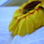 Image-square_50