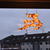 Image-square_50