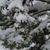 Image-square_50