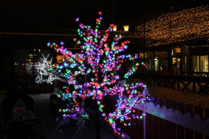 Image-preview_300x200