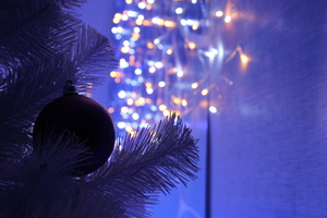 Image-preview_300x200