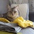 Image-square_50