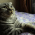 Image-square_50