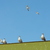 Image-square_50