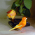 Image-square_50