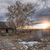Image-square_50