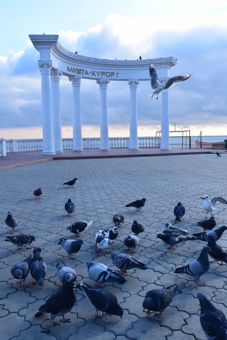 Image-normal