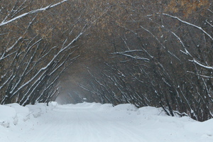 Image-preview_300x200