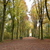 Image-square_50