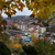 Image-square_50