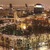 Image-square_50