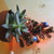 Image-square_50