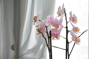 Image-preview_300x200