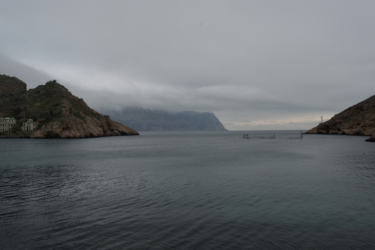 Image-normal