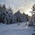 Image-square_50