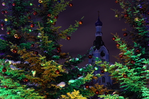Image-preview_300x200