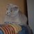 Image-square_50