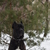 Image-square_50