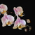 Image-square_50