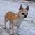 Image-square_50