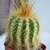 Image-square_50