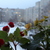 Image-square_50