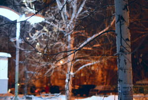 Image-preview_300x200