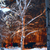 Image-square_50