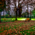 Image-square_50
