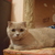 Image-square_50