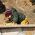 Image-square_50