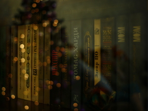 Image-preview_300x200