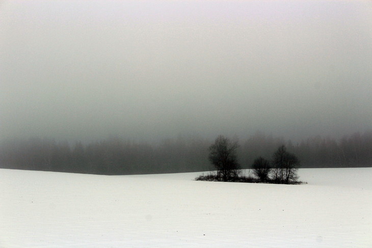 Image-normal