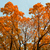 Image-square_50
