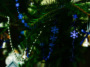 Image-preview_300x200