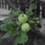 Image-square_50